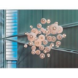 Coral 3 Tulipas Co04-3 de Arturo Alvarez