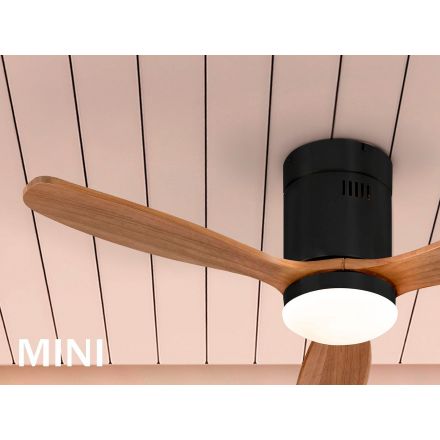 Siroco Mini Ventilador Neg-nogal de Schuller