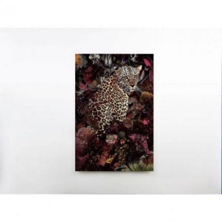 Leopardo Fotografia 80x120 de Schuller