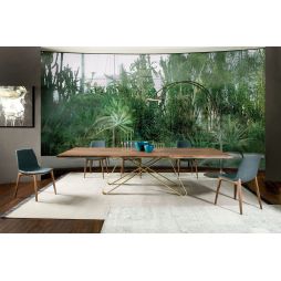 Mesa Status Wood