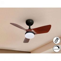 Tropic Ventilador Negro Nogal de Schuller
