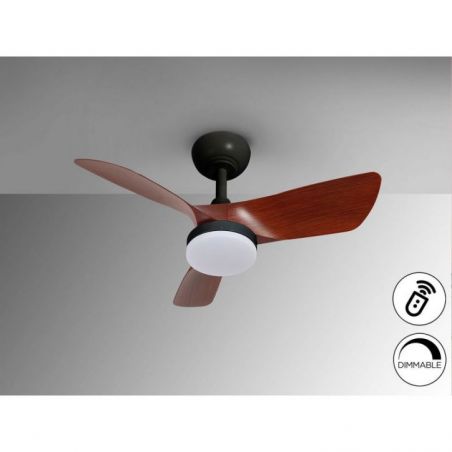 Tropic Ventilador Negro Nogal de Schuller