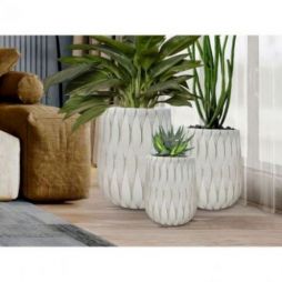 Jazmin  Set 3 Maceteros Beige de Schuller