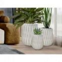 Jazmin  Set 3 Maceteros Beige de Schuller