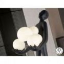 La Carga Figura 6l  Negro de Schuller