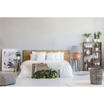 Darwin de Flam & Luce