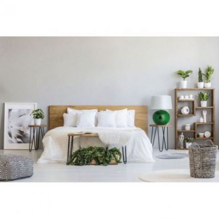 Darwin de Flam & Luce