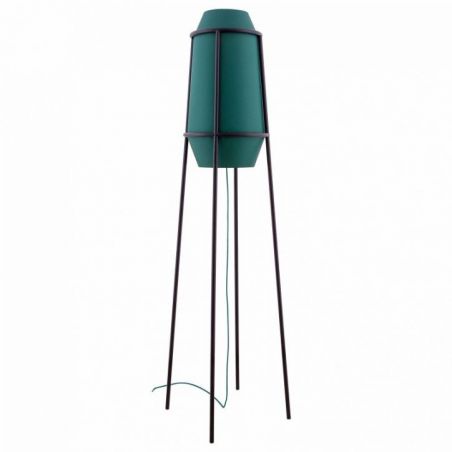 Apollo de Flam & Luce