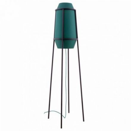 Apollo de Flam & Luce