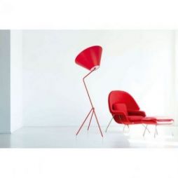 Picbeu de Flam & Luce