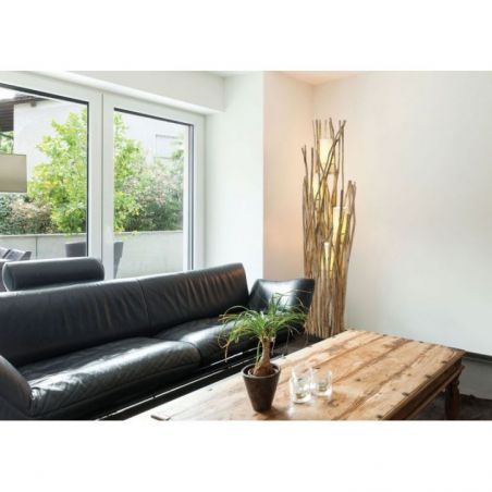 Tonga de Flam & Luce