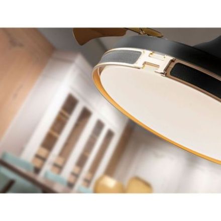 Heron Ventilador Negro Oro Dimable de Schuller