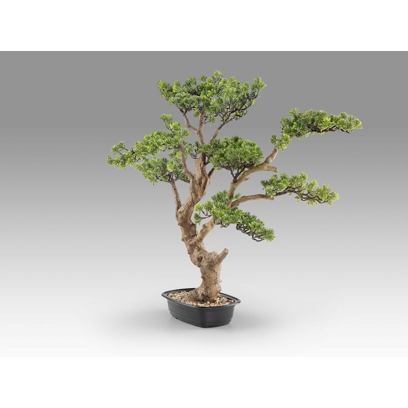 Sokan  Bonsai 81cm de Schuller