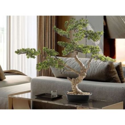Sokan  Bonsai 81cm de Schuller