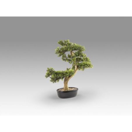 Bankan  Bonsai 75cm de Schuller