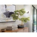 Bankan  Bonsai 75cm de Schuller