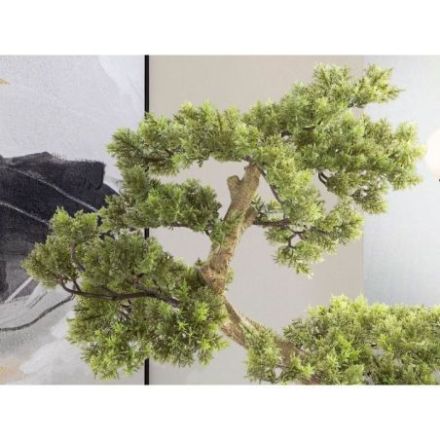 Bankan  Bonsai 75cm de Schuller