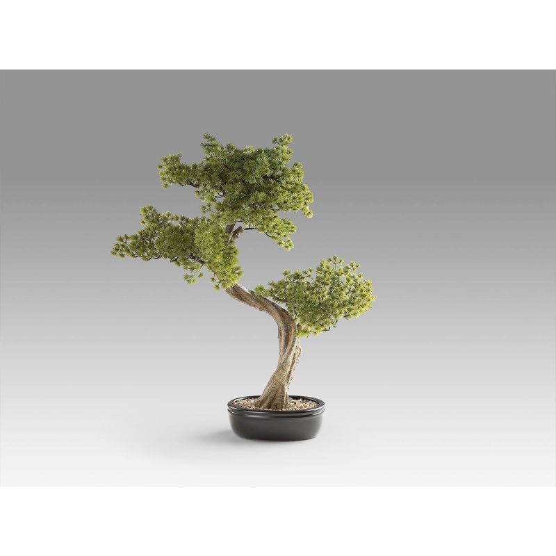 Bankan Ii  Bonsai 49cm de Schuller