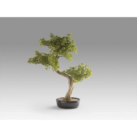 Bankan Ii  Bonsai 49cm de Schuller