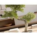 Bankan Ii  Bonsai 49cm de Schuller