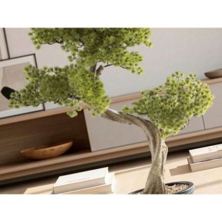 Bankan Ii  Bonsai 49cm de Schuller