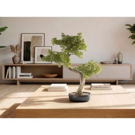 Bankan Ii  Bonsai 49cm de Schuller