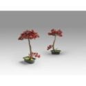 Bujin Hi  Bonsai 45cm de Schuller