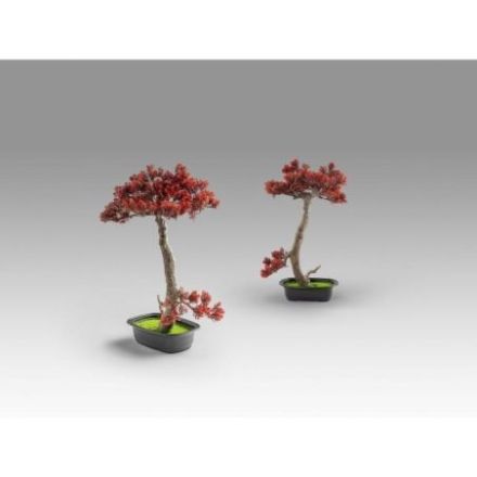 Bujin Hi  Bonsai 45cm de Schuller