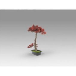 Bujin Hi  Bonsai 45cm de Schuller