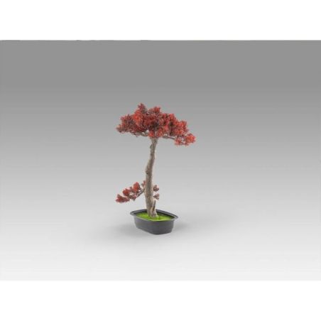 Bujin Hi  Bonsai 45cm de Schuller