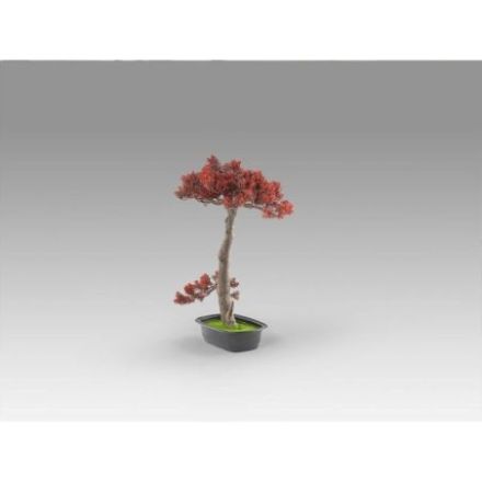 Bujin Hi  Bonsai 45cm de Schuller