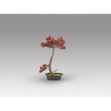 Bujin Hi  Bonsai 45cm de Schuller