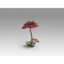 Bujin Hi  Bonsai 45cm de Schuller