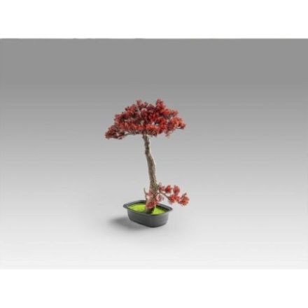 Bujin Hi  Bonsai 45cm de Schuller