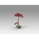 Bujin Hi  Bonsai 45cm de Schuller