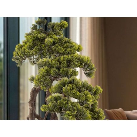 Kengai  Bonsai 74cm de Schuller