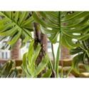 Monstera Planta Artificial H210 de Schuller