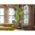 Monstera Planta Artificial H210 de Schuller
