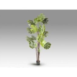 Monstera Planta Artificial H210 de Schuller