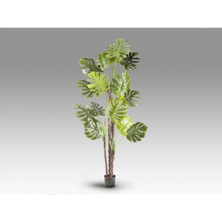 Monstera Planta Artificial H210 de Schuller