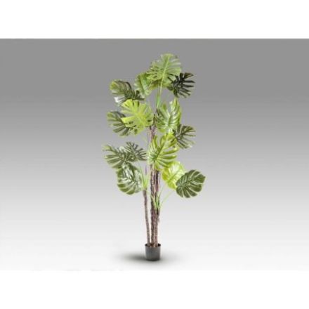 Monstera Planta Artificial H210 de Schuller