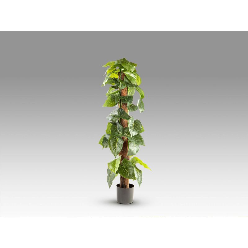 Taro Planta Artificial H150 de Schuller Taro Planta Artificial H150 de Schuller