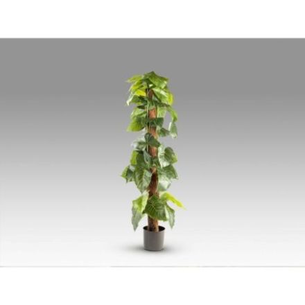 Taro Planta Artificial H150 de Schuller