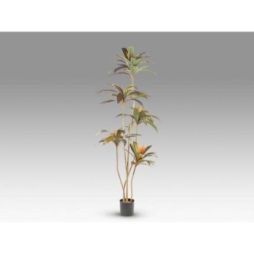 Dracena Roja Planta Artificial H220 de Schuller
