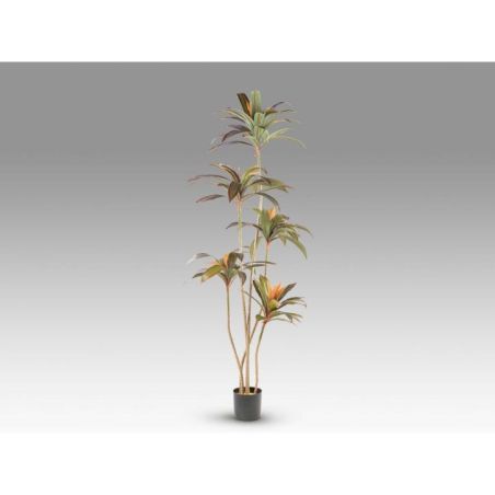 Dracena Roja Planta Artificial H220 de Schuller