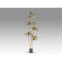 Dracena Roja Planta Artificial H220 de Schuller
