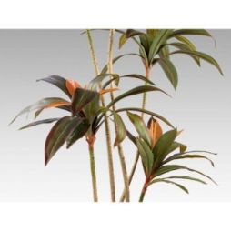 Dracena Roja Planta Artificial H220 de Schuller