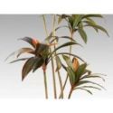 Dracena Roja Planta Artificial H220 de Schuller