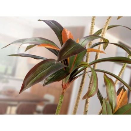 Dracena Roja Planta Artificial H220 de Schuller