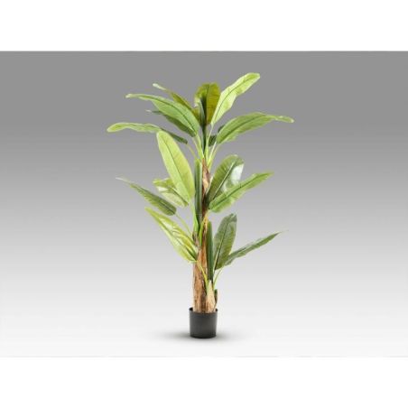 Platanera Planta Artificial H180 de Schuller